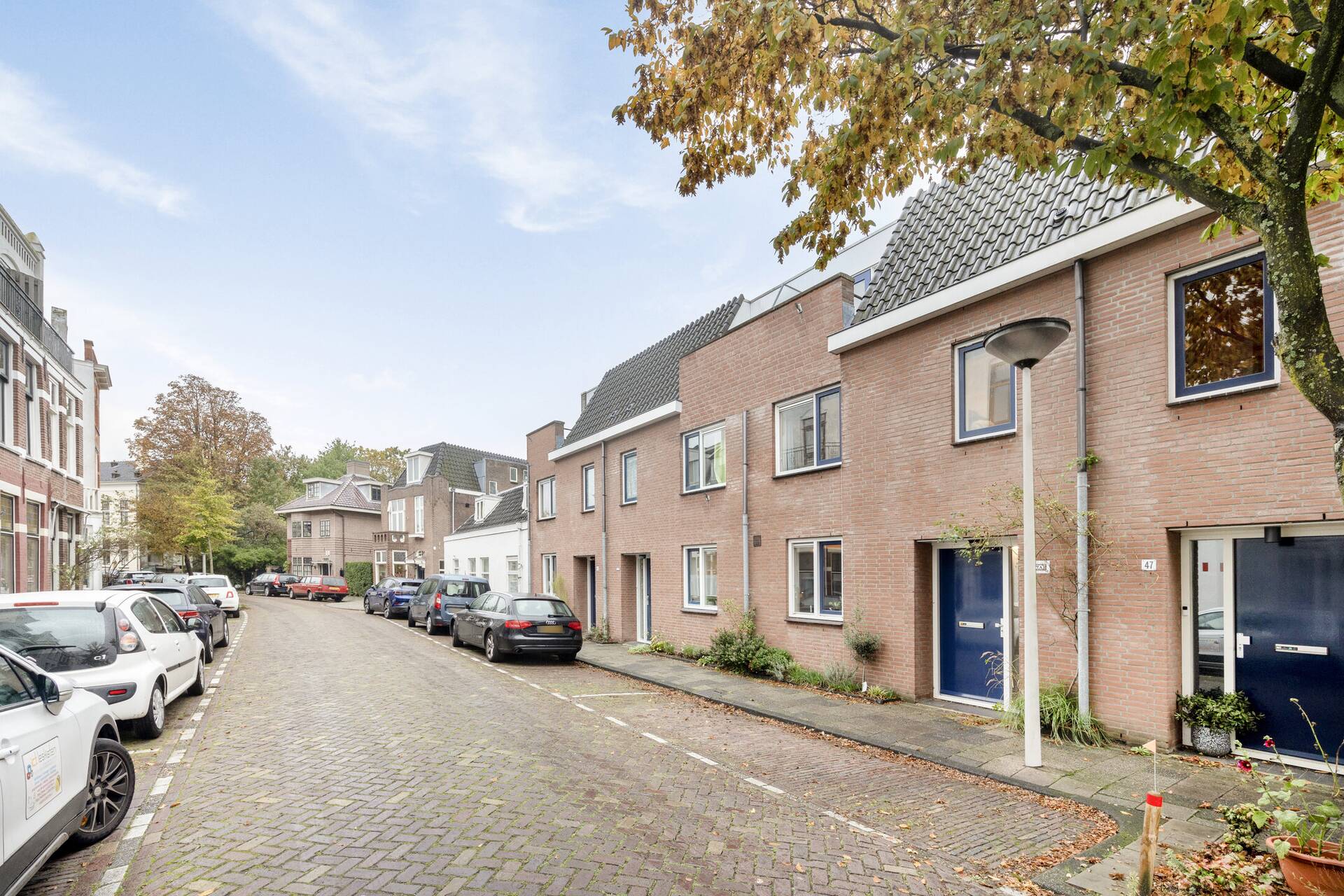 Witte Rozenstraat Leiden