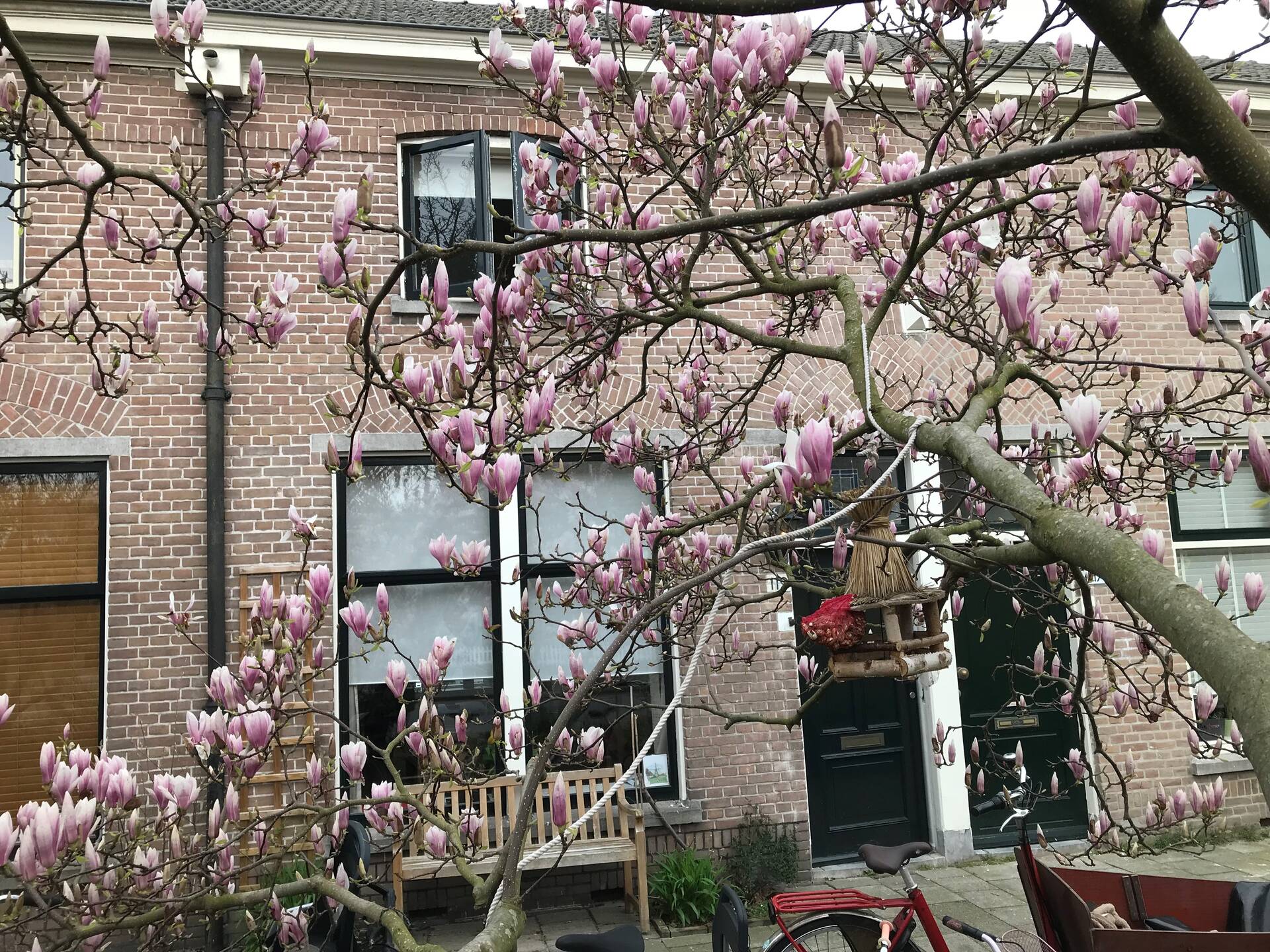 Herenstraat Leiden